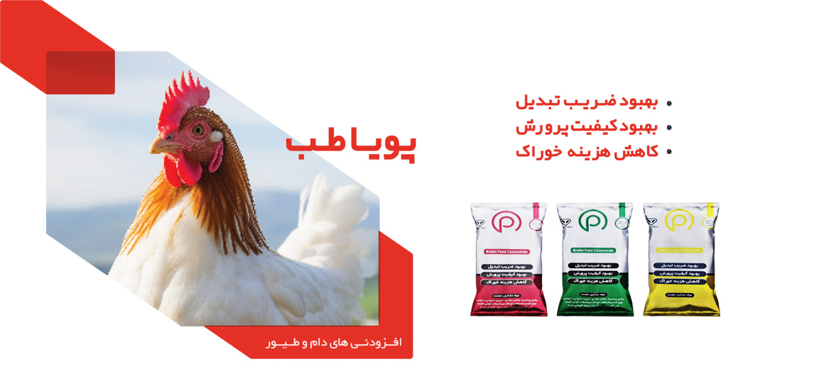 کنسانتره ماکیان