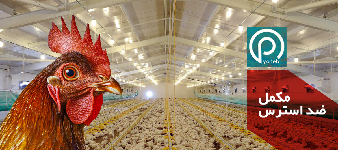 مکمل ضد استرس گرمایی